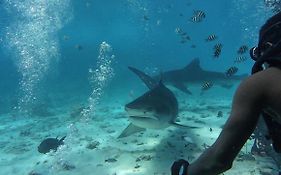 Silver County Fuvahmulah Diving Hotel